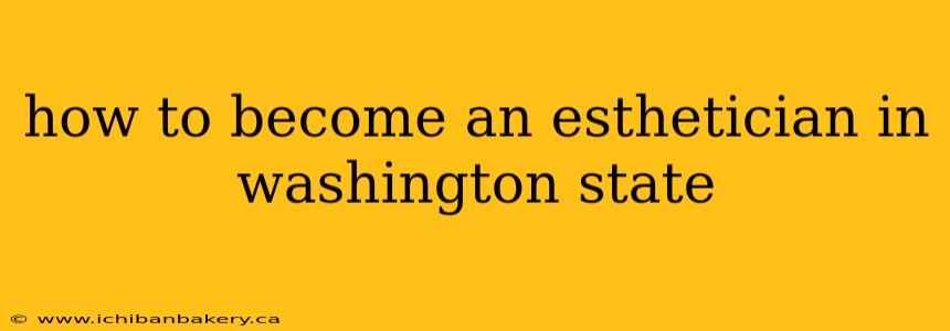how to become an esthetician in washington state