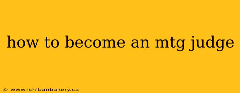 how to become an mtg judge