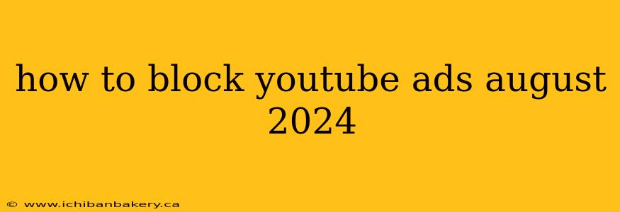 how to block youtube ads august 2024