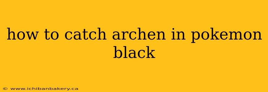 how to catch archen in pokemon black