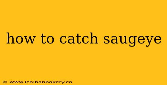 how to catch saugeye