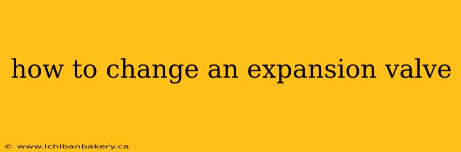 how to change an expansion valve