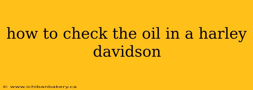 how to check the oil in a harley davidson