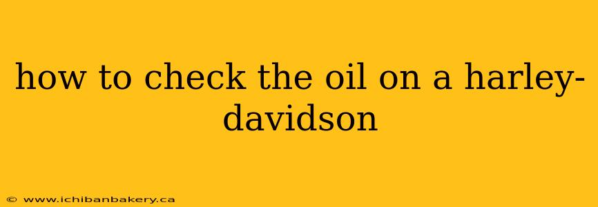 how to check the oil on a harley-davidson