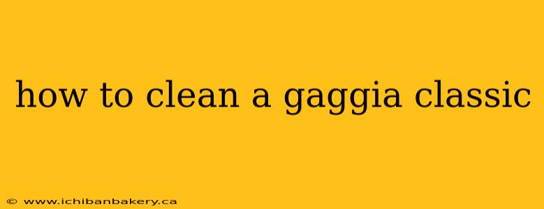 how to clean a gaggia classic