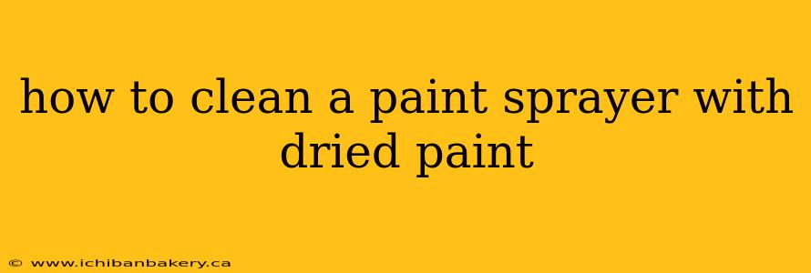 how to clean a paint sprayer with dried paint