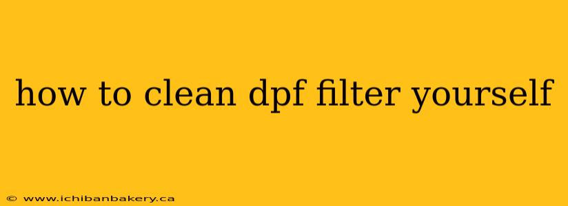 how to clean dpf filter yourself