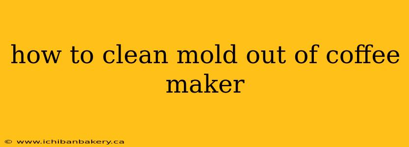 how to clean mold out of coffee maker