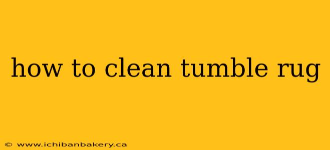 how to clean tumble rug