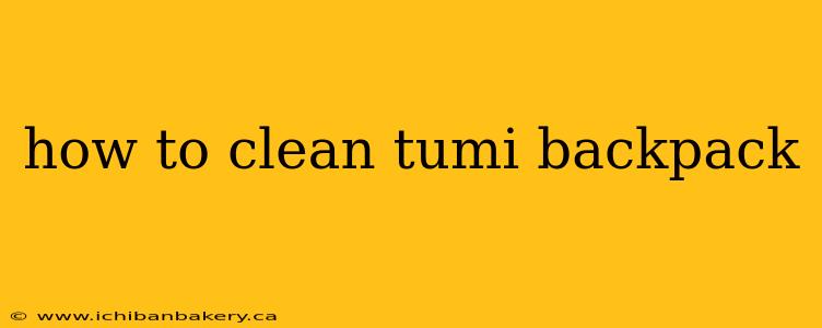 how to clean tumi backpack