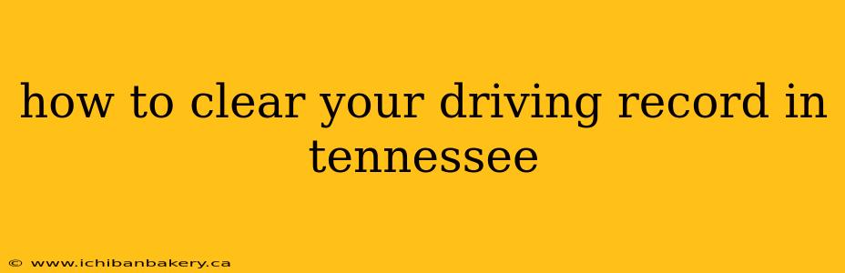 how to clear your driving record in tennessee