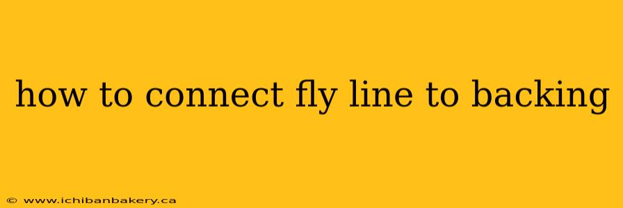 how to connect fly line to backing