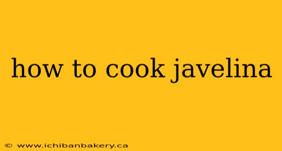how to cook javelina