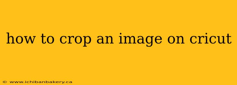 how to crop an image on cricut