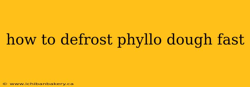 how to defrost phyllo dough fast