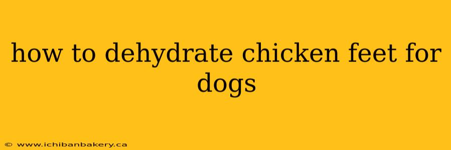 how to dehydrate chicken feet for dogs