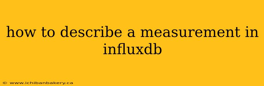 how to describe a measurement in influxdb