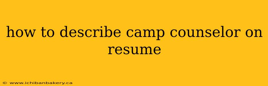 how to describe camp counselor on resume