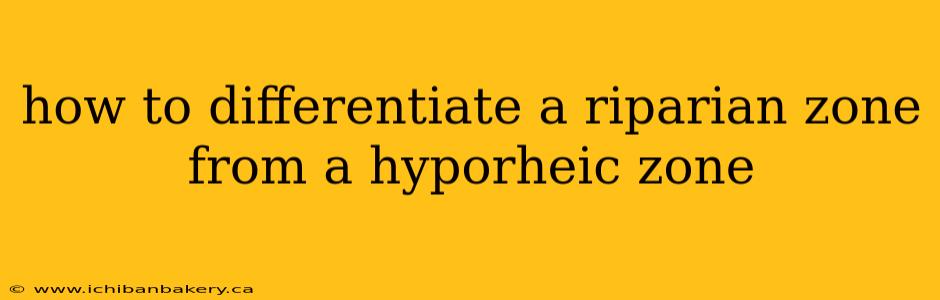 how to differentiate a riparian zone from a hyporheic zone