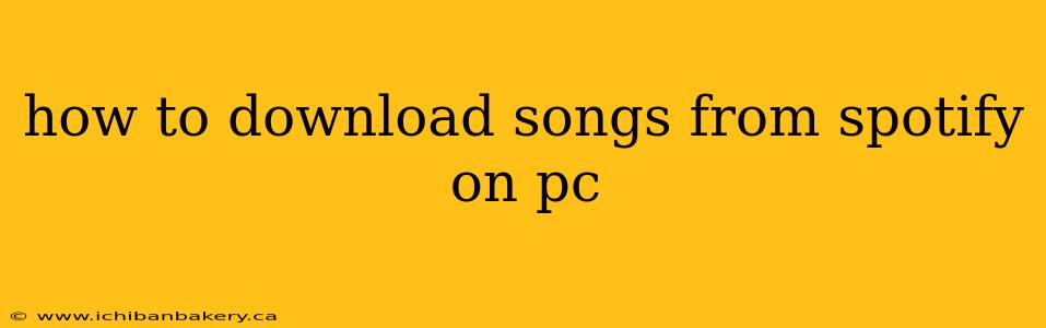 how to download songs from spotify on pc