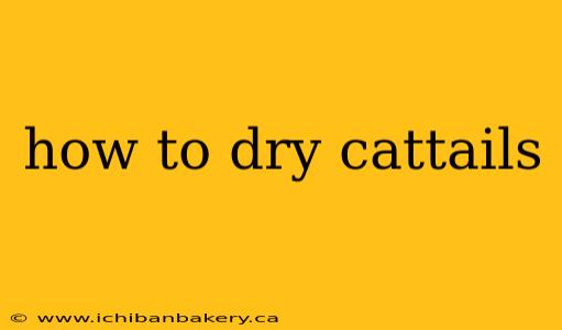 how to dry cattails