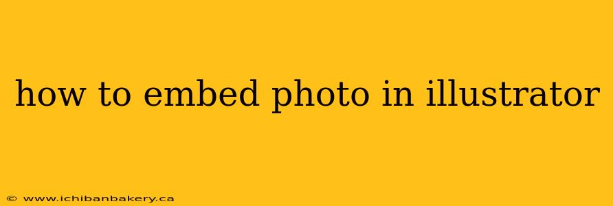 how to embed photo in illustrator