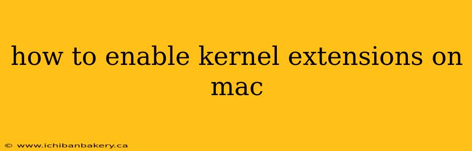 how to enable kernel extensions on mac