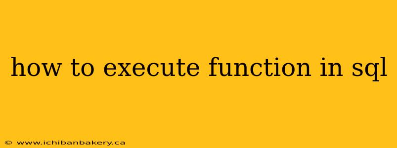 how to execute function in sql