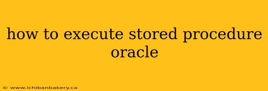 how to execute stored procedure oracle