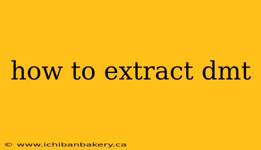 how to extract dmt
