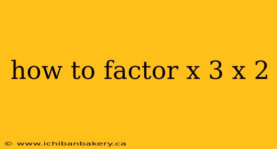 how to factor x 3 x 2