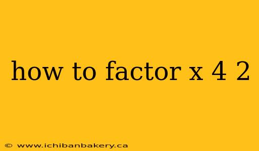 how to factor x 4 2