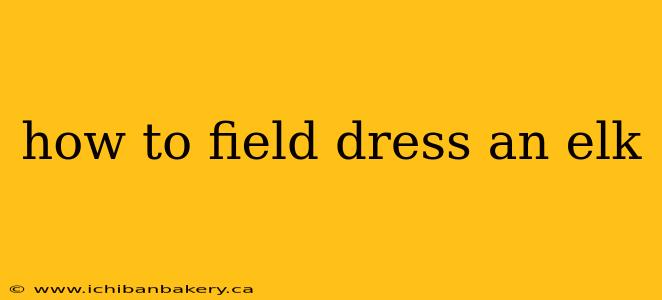 how to field dress an elk
