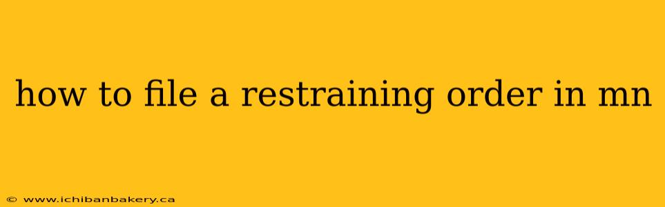 how to file a restraining order in mn