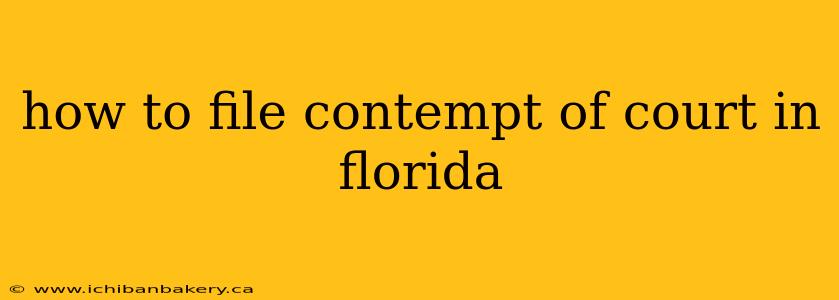 how to file contempt of court in florida