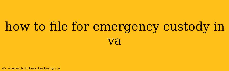 how to file for emergency custody in va
