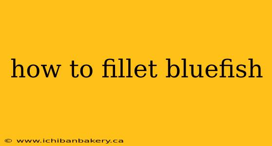 how to fillet bluefish