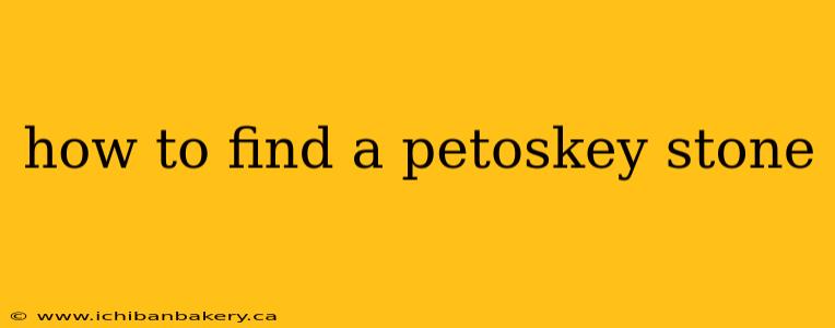 how to find a petoskey stone