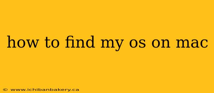 how to find my os on mac