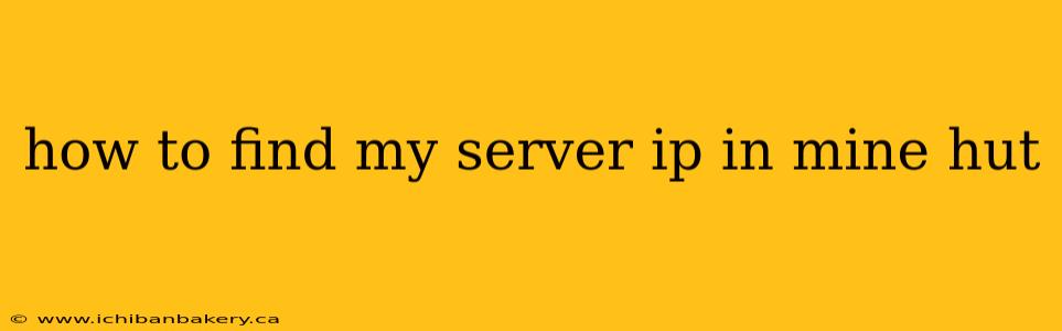 how to find my server ip in mine hut