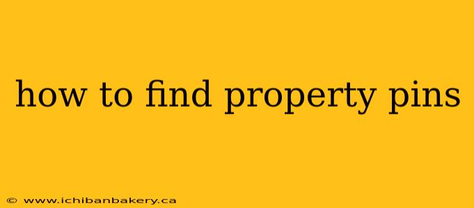 how to find property pins