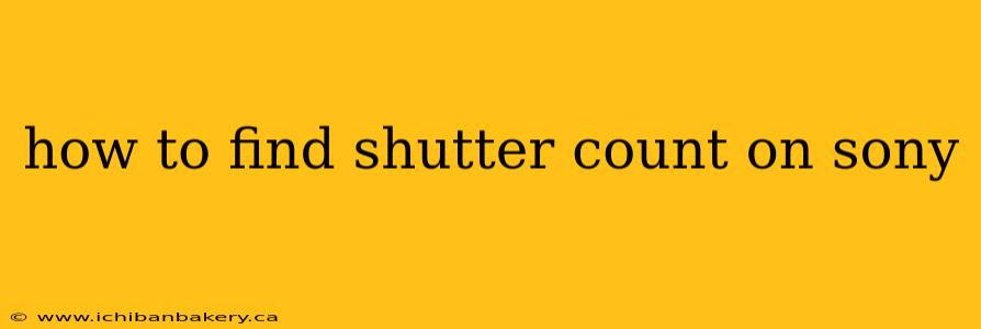 how to find shutter count on sony