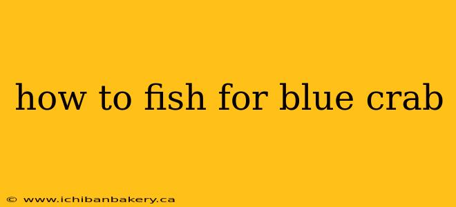 how to fish for blue crab