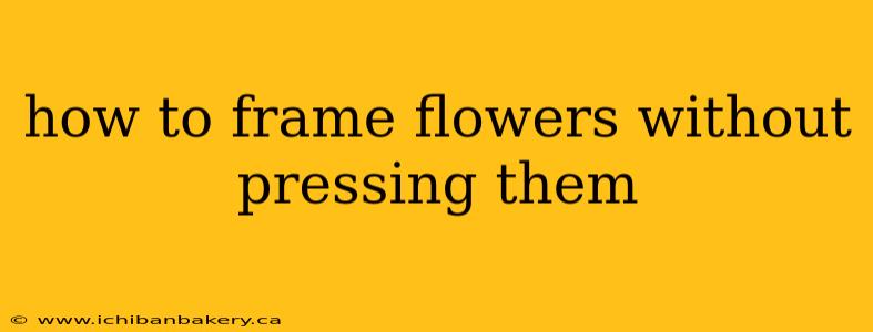 how to frame flowers without pressing them