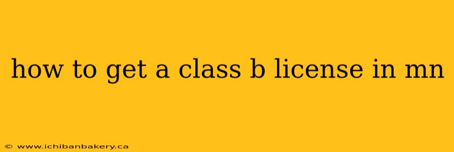 how to get a class b license in mn