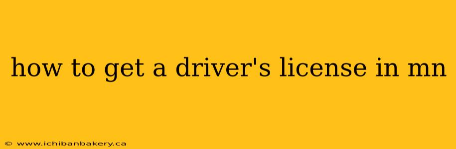 how to get a driver's license in mn