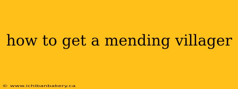 how to get a mending villager