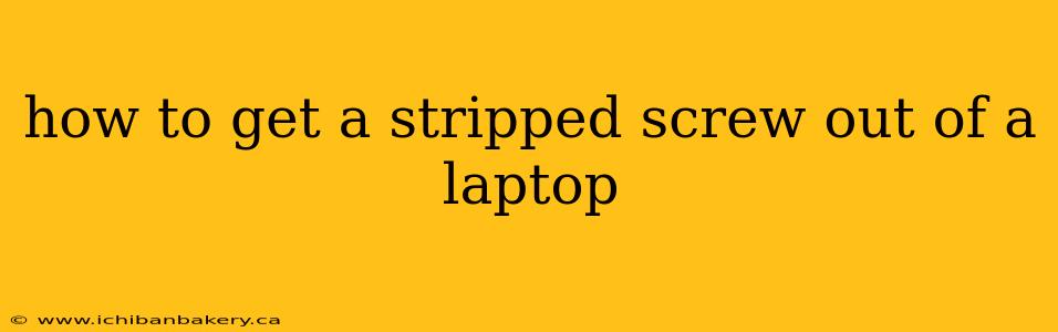 how to get a stripped screw out of a laptop