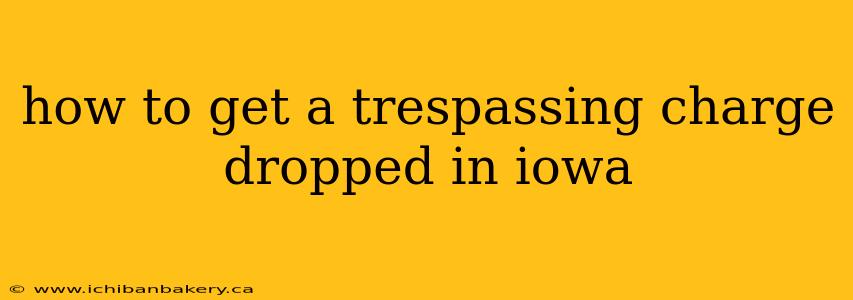 how to get a trespassing charge dropped in iowa