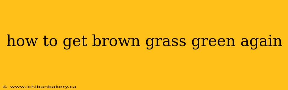 how to get brown grass green again